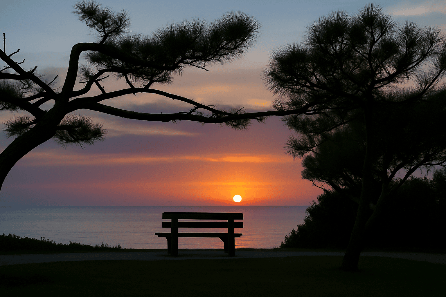 A wooden bench beneath silhouetted pine branches, overlooking water at a vivid sunset