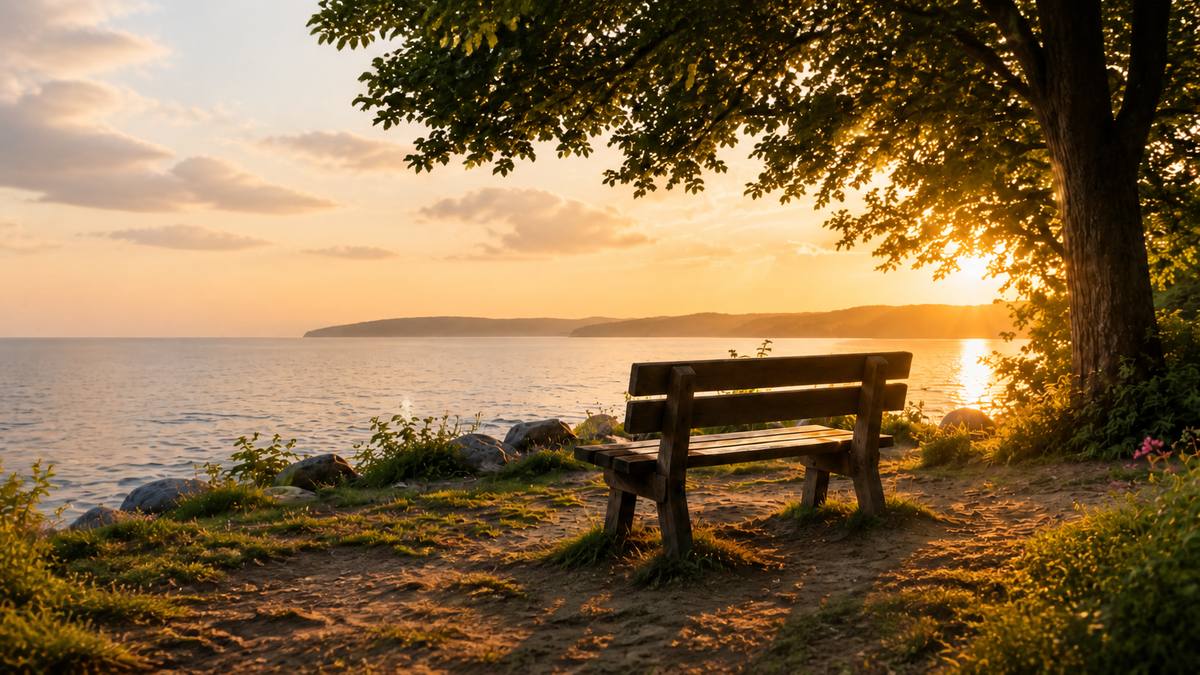 An empty wooden bench overlooking a calm lake in warm evening light beneath a leafy tree.
