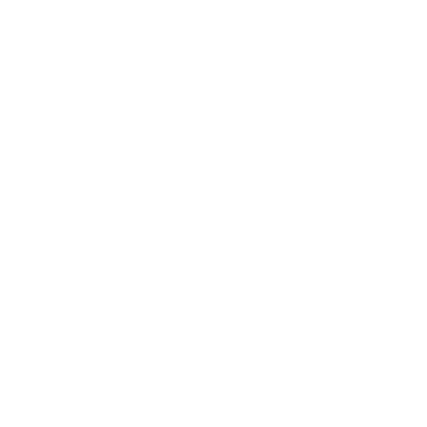 The Intentional Soul
